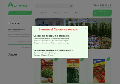 Снимок главной страницы 6sotok-pnz.ru