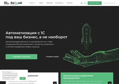 Снимок главной страницы bobday.ru