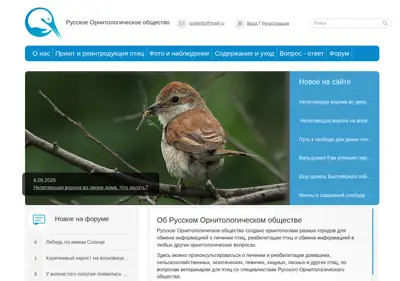 Снимок главной страницы birdsassociation.ru