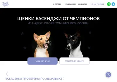 Снимок главной страницы basenji-village.ru