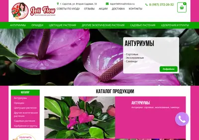 Снимок главной страницы anturium-joli-flow.ru