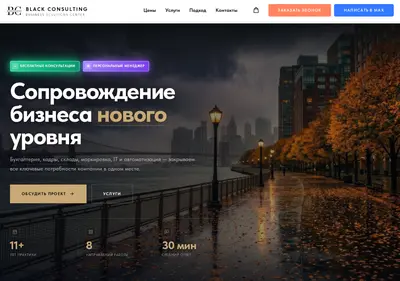 Снимок главной страницы biz38.ru