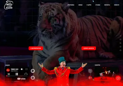 Снимок главной страницы circusmansurov.ru