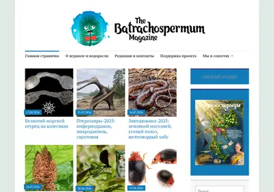 Снимок главной страницы batrachospermum.ru