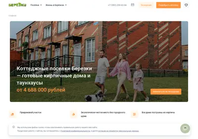Снимок главной страницы berezki54.ru