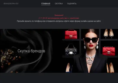 Снимок главной страницы brandskupka.ru