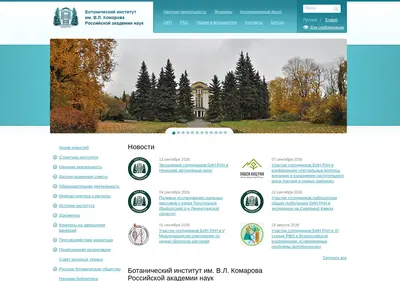Снимок главной страницы binran.ru