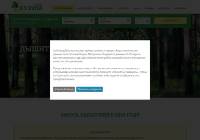 Снимок главной страницы buzuli.ru