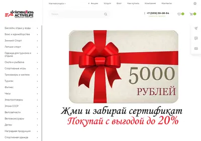 Снимок главной страницы activelife174.ru