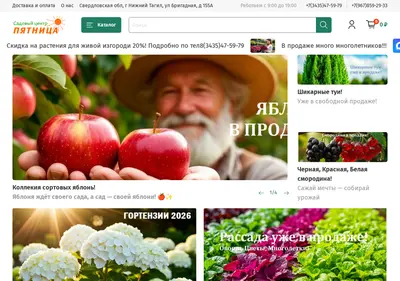 Снимок главной страницы 5-nt.ru