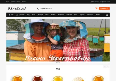 Снимок главной страницы 38pchel.ru