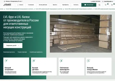 Снимок главной страницы beamlvl.ru