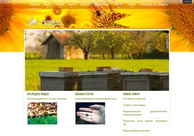 Снимок главной страницы beetools.ru