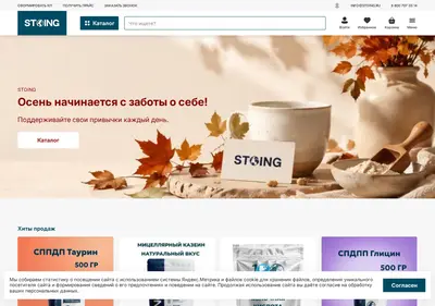Снимок главной страницы 100ing.ru