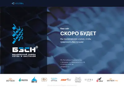 Снимок главной страницы bzsn.ru