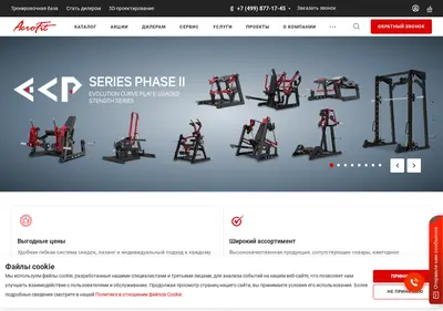 Снимок главной страницы aerofit.ru
