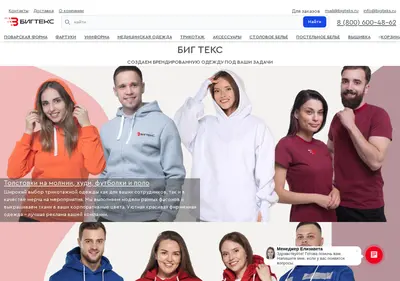 Снимок главной страницы bigteks.ru