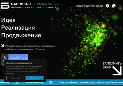 Снимок главной страницы bannikon.ru