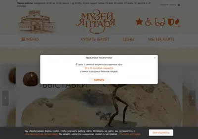Снимок главной страницы ambermuseum.ru
