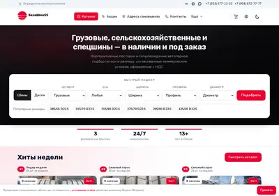 Снимок главной страницы bazashin55.ru