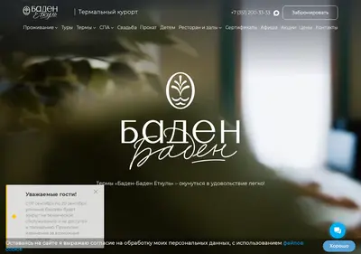 Снимок главной страницы baden74.ru