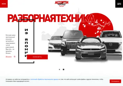 Снимок главной страницы assortimotors.ru
