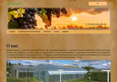 Снимок главной страницы borgraft.ru