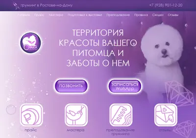 Снимок главной страницы chaikagroom.ru