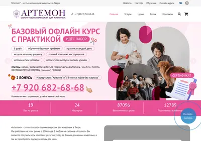 Снимок главной страницы artemon-salon.ru
