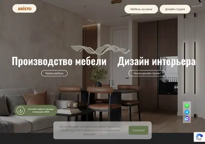 Снимок главной страницы aristo-vl.ru