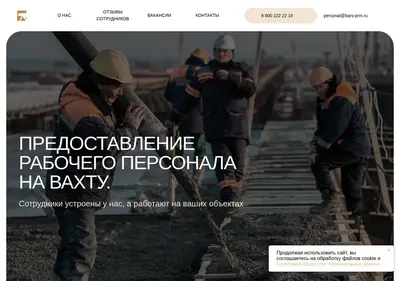 Снимок главной страницы bars-prm.ru