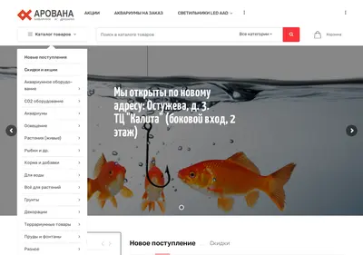 Снимок главной страницы arowana-vrn.ru
