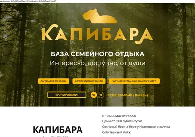 Снимок главной страницы capybara73.ru