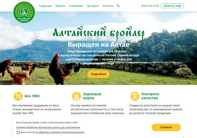Снимок главной страницы altaibroiler.ru