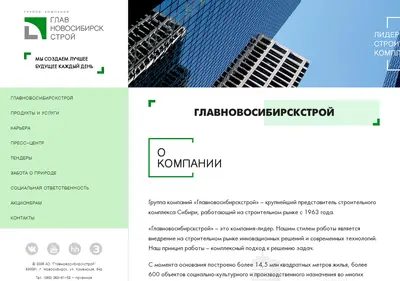 Снимок главной страницы ao-gns.ru