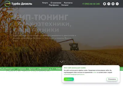 Снимок главной страницы chip-tuning24.ru