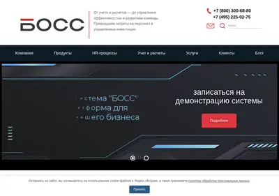 Снимок главной страницы boss.ru