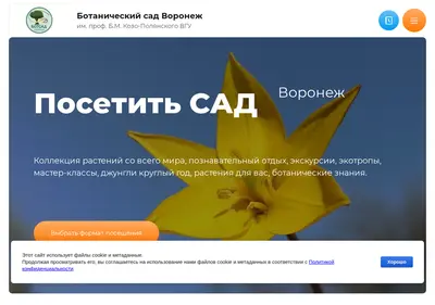 Снимок главной страницы bsvrn.ru