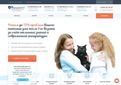 Снимок главной страницы alisavet.ru