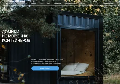 Снимок главной страницы bjorkhouses.ru