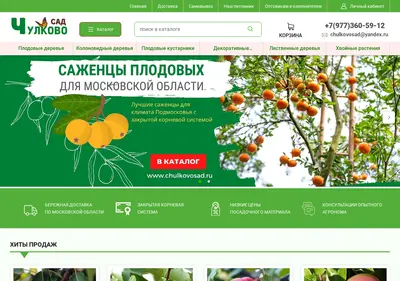 Снимок главной страницы chulkovosad.ru