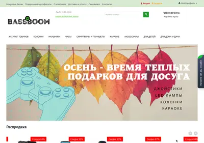 Снимок главной страницы bassboom.ru