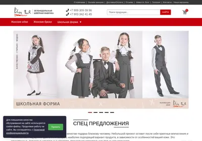 Снимок главной страницы bruki-pp.ru