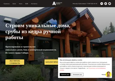 Снимок главной страницы angarskie-terema.ru