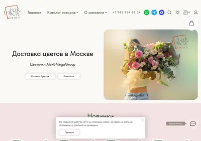 Снимок главной страницы alexmega.ru