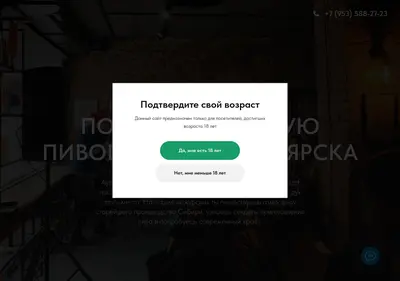 Снимок главной страницы auditorium24.ru