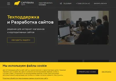 Снимок главной страницы capyba.ru