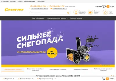 Снимок главной страницы champions-shop.ru