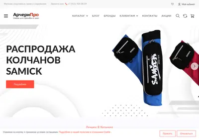 Снимок главной страницы archerypro.ru
