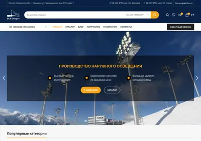 Снимок главной страницы bsk-energo.ru